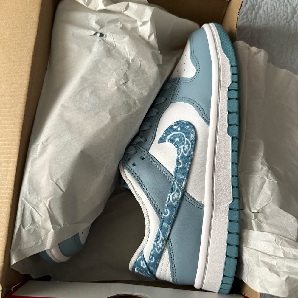 Brand new! women’s Nike dunk low ess